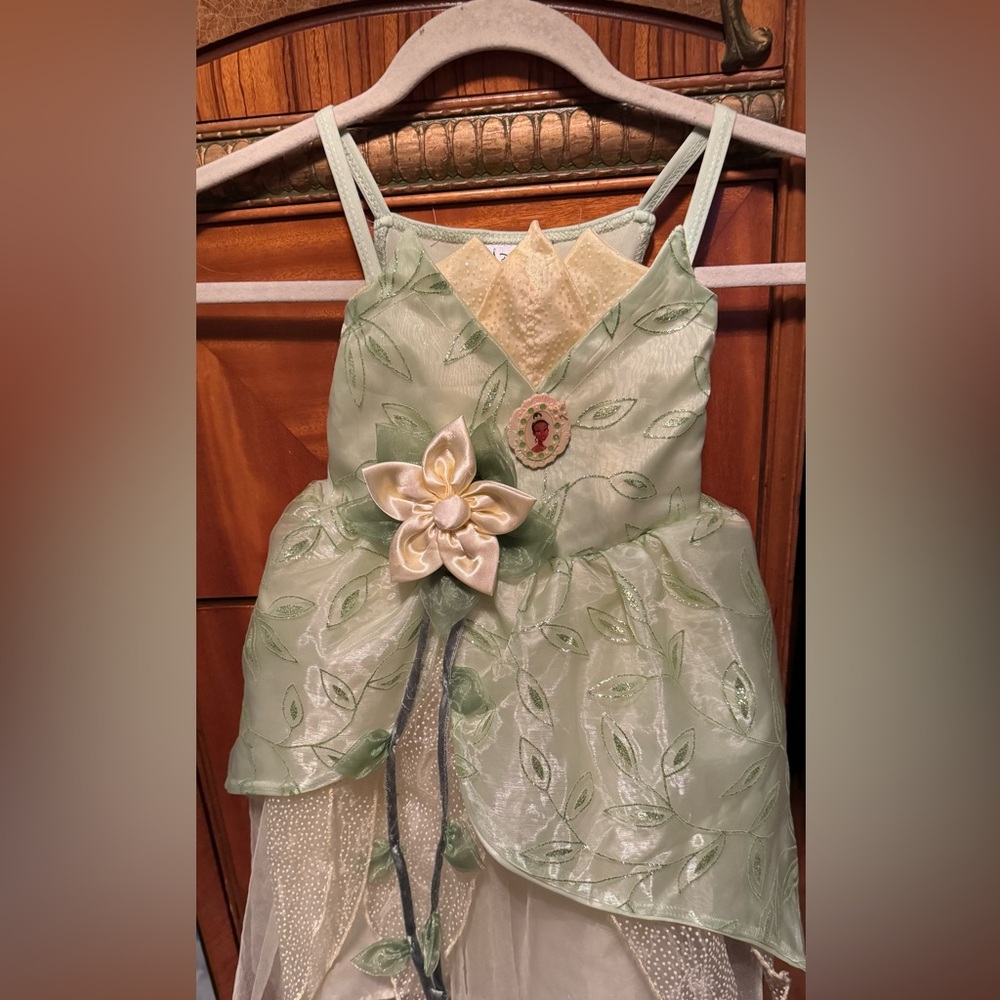 Disney Parks Authentic Original Princess Tiana. VG condition.